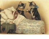 Baby Orange Tabby Sick in Bed Calico Tuxedo Cats Watch Over Baby Kitty Magnet Dressed Cats So Sweet