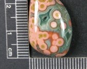 Ocean Jasper Cabochon Hand Cut JO243