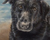 Custom Pet Portrait Painting in Oil by LARA 11x14 Dog