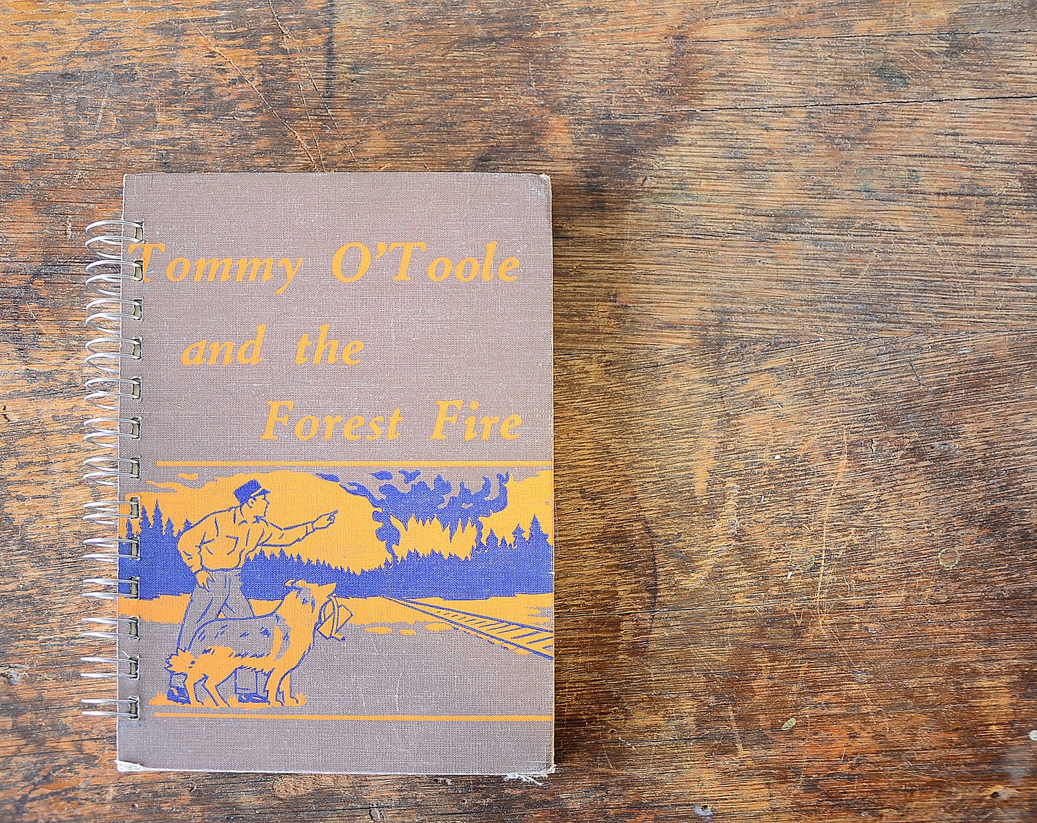 Vintage Book Journal .. Tommy O'Toole and the Forest Fire