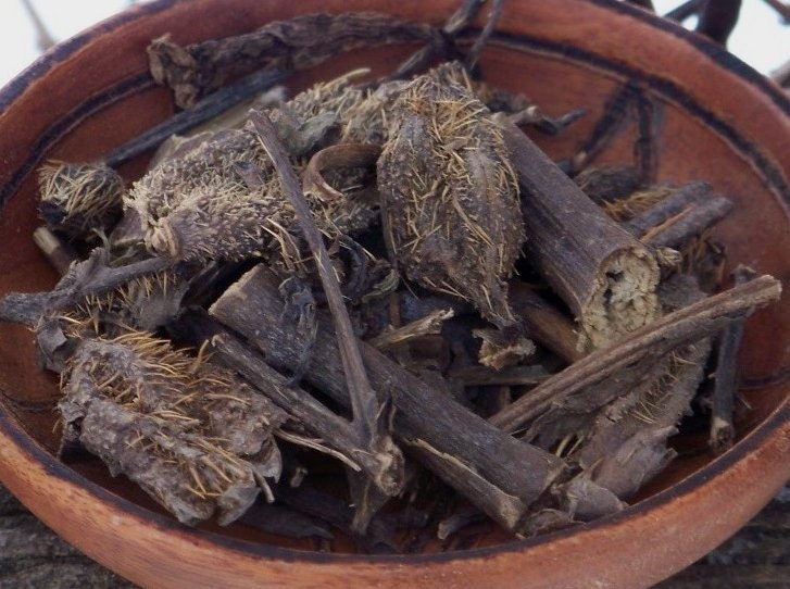 Organic PRICKLY POPPY for Shamanic Rites, Hedge Crossing, Ancestor Work, Dream Work, Visions, Divination