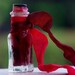 ALMANDINE Garnet Artisan Alchemy Gemstone Elixir for Protection, Healing Alchemy, Business Success, Focus, Past Life Recall, Empowerment