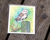 Barn Owl - A2 Blank Card