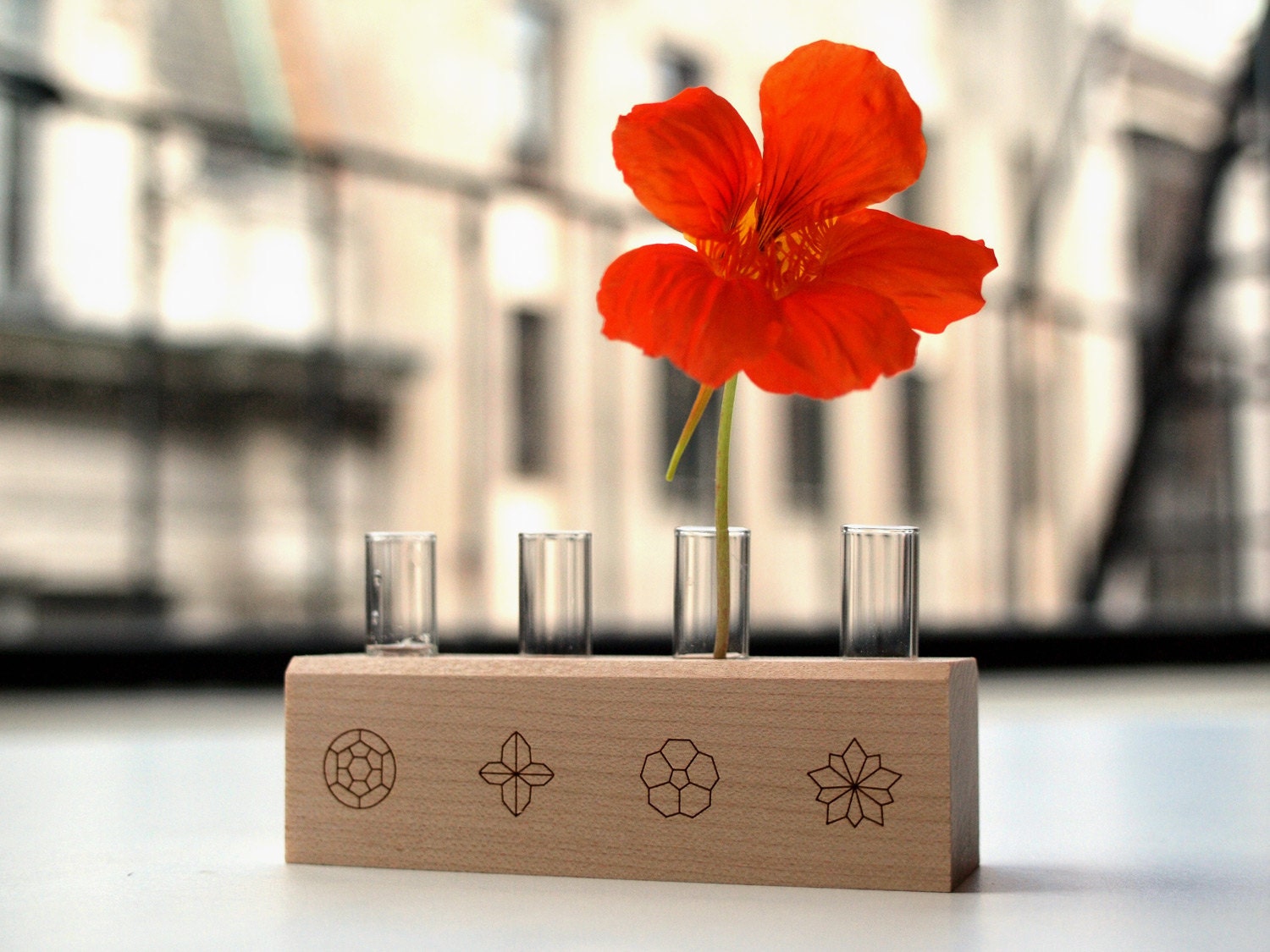 Edible Flower Heirloom Seed Kit with Wooden Block and Vials