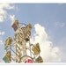 Carnival Photography / Neon Pop / Spring Decor / 8x10 / bright colorful / summer / nursery children's room decor / blue sky / whimsical