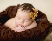 Rustic Light Brown Flower on Brown Elastic Headband - newborn photo prop