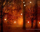 Nature Photography, Surreal Haunting Twinkling Stars Lights Autumn Fall Woodlands, Orange Sepia Brown Fine Art Nature Photo 9" x 12"