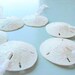 Beach Decor Shell Christmas Ornaments - Nautical Sand Dollar Holiday Ornaments, 1pc