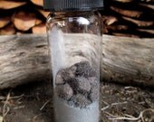 Rita's 18 Natural Small Lodestones Ritual Vial Nested in Silver Magnetic Sand - Draw in Energies of the moon and inuitive perception