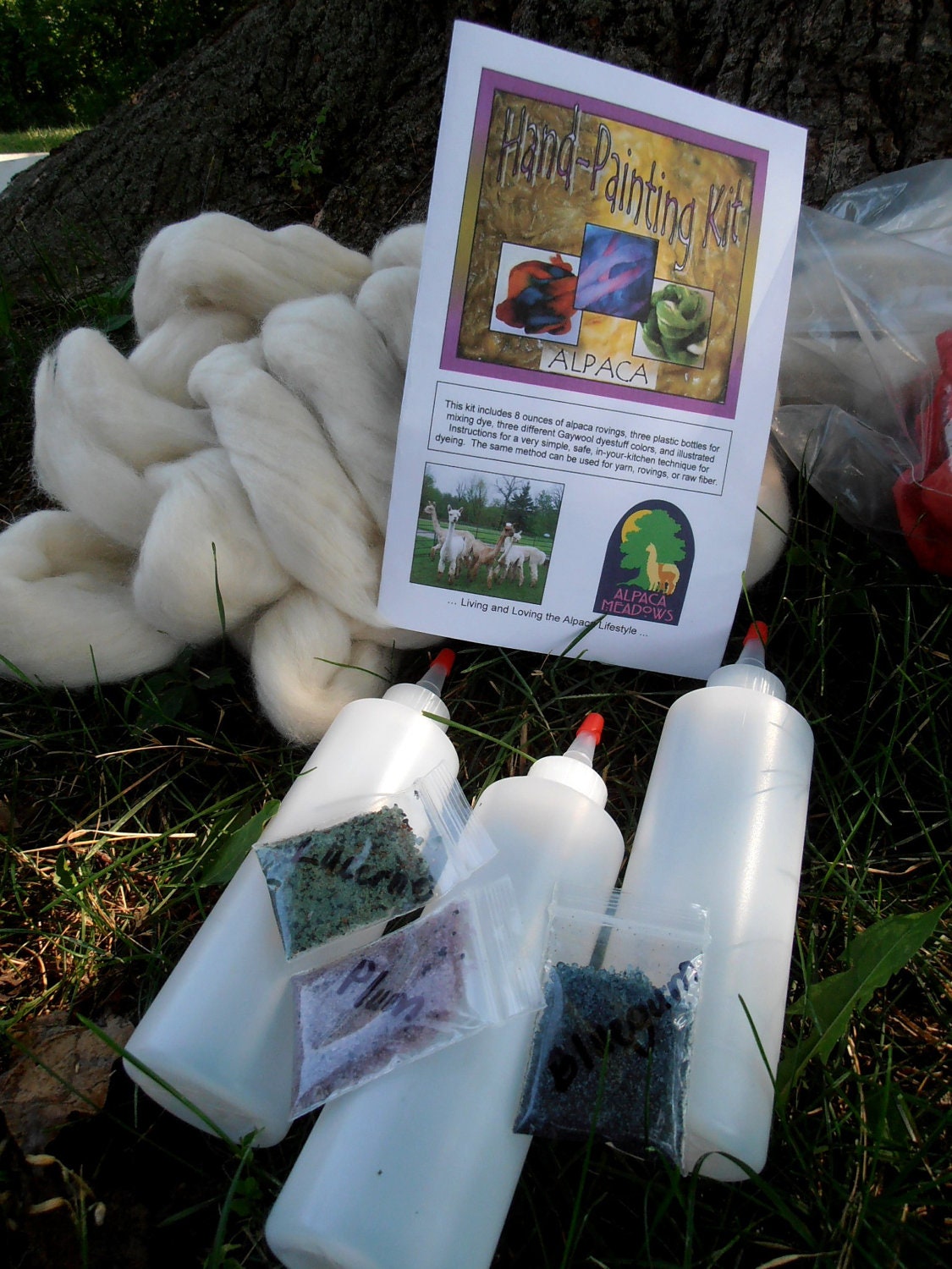 Learn to Dye Rovings, Hand-Painting Kit, 8 Ounces ALPACA Rovings, Gaywool Dyes, Detailed Instructions.