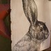 RABBIT - 36x42 - Statement Piece for your Wall - Salvaged Wood - RuPiper Designs Original