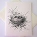 Bird Nest with Baby Birds Note Card Set of 10 in White or Light Ivory with Matching Envelopes