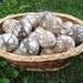 Wool and Alpaca Felted Dryer Balls - Set of 6