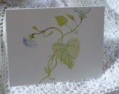 Morning Glory Flower Note Card - Original Artwork - by Reflections of Kayla