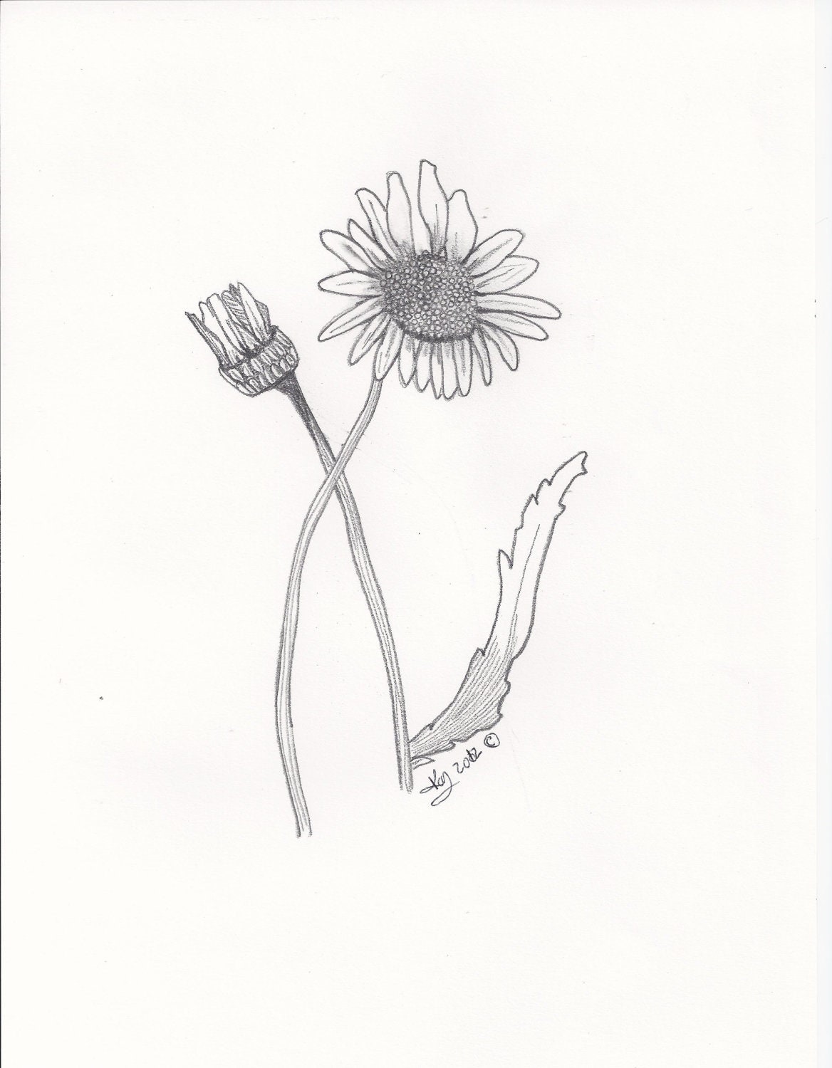Daisy Flower Print in black and white 5x7 Original Artwork by Reflections of Kayla