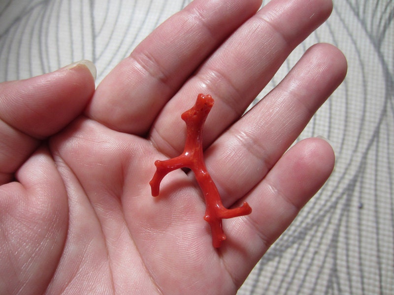 RESERVED for SnugglePants - RARE Large Precious Coral Branch without the Chain