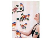 birds singing photo collage woman shabby chic pink stripes pets animals home decor tagt team art pets