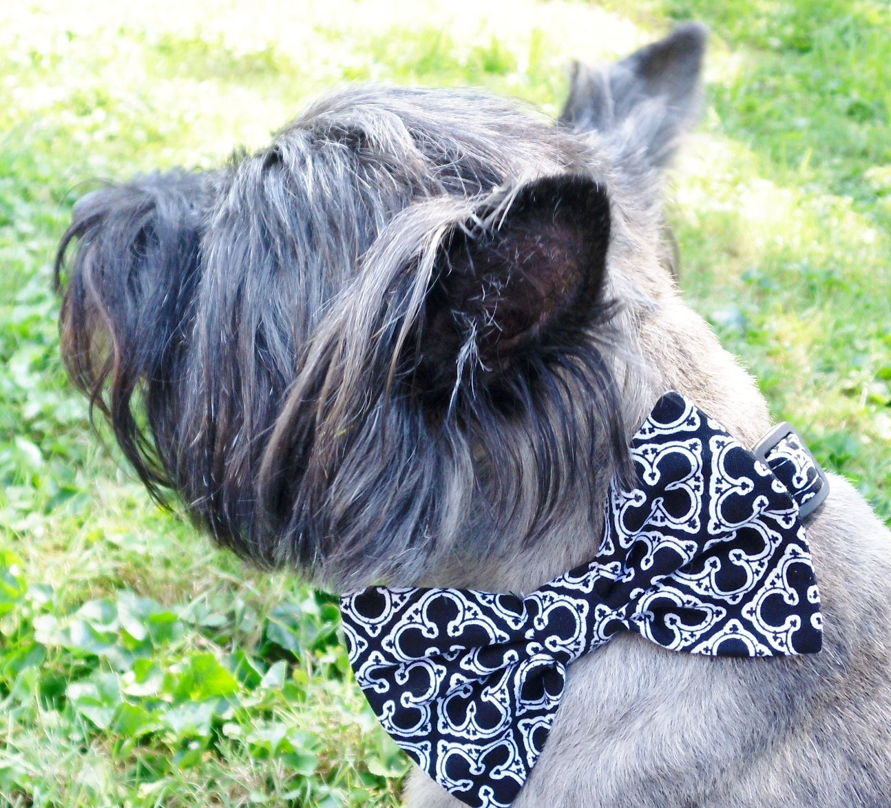 Bow Tie Collar For Dogs Custom Black and White Pattern
