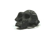 Lucy chalkboard skull