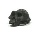 Lucy chalkboard skull