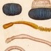 1837 sea worms original antique sea life ocean print
