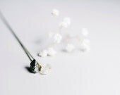 Pyrite & Quartz necklace