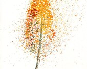 Birch  Print from my original watercolor painting 8x10 inch