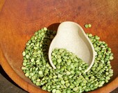 Coffee Scoop I