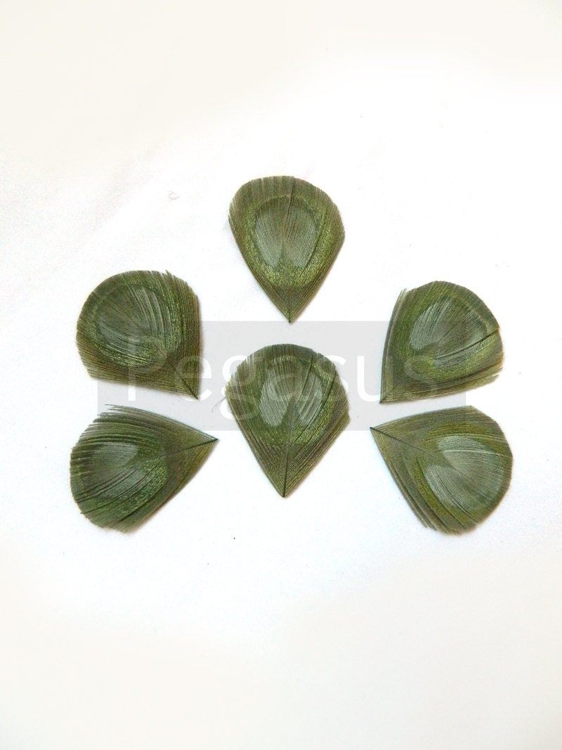 SAGE Green Trimmed Peacock Feather Eyes (12 PIECES)(Large) For appliques, wedding invitations, Shoe clips, earrings, and fascinators