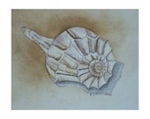 Shell 2 - Limited Edition Giclee