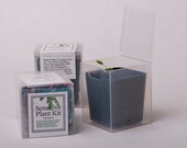 Sensitive Plant Kit -- It Moves When Touched -- Grow Your Own Sensitive Garden