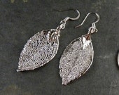 Silver Plated Real Rose Leaf Dangle Earrings, Silver Dipped Rose Leaves on Surgical Steel Ear Wires