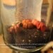 SALE Halloween Magic Spell Bottle Potion Bottle