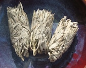 White Sage Smudge Stick 5 Inch--Hoodoo, Voodoo, Wicca, Witchcraft-Purification, Cleansing, Protection, Offering, Ritual Tool