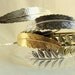Set of 4 Bridesmaid Headbands (Choose from EVA, MUSE, and ATHENA Single Leaf)