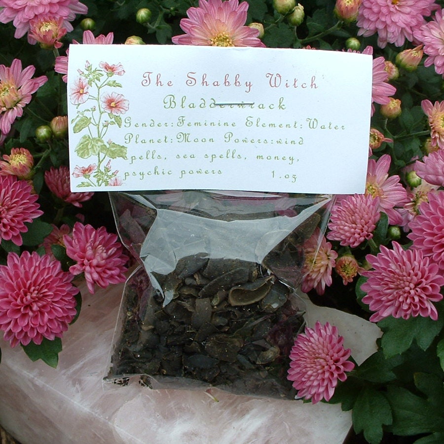 Bladder wrack