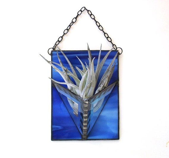 Air plant holder Monaco blue sapphire stained glass wall vase modern home decor indoor garden