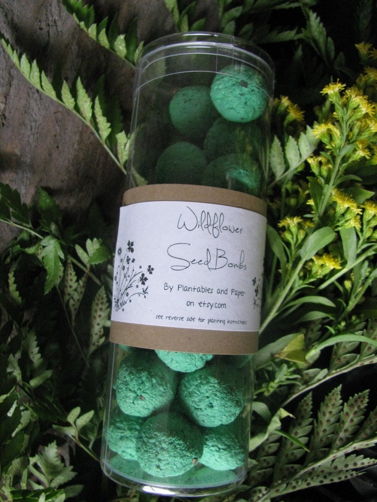 Wildflower seed bomb gift/favor- clear tube packaging- choose your color