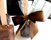 Caramel Chocolate Hot Chocolate on a Stick