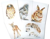 Woodland Animal Watercolor Card Set Greeting Cards