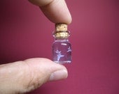 Sea angel, Clione is in a tiny bottle