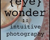 photography e-course   (eye) wonder : intuitive photography for everyday people