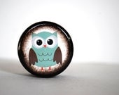 Teal Owl Pill Box