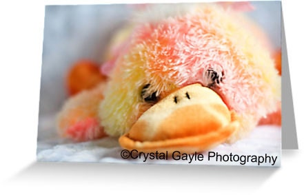 Just Ducky Birthday Greeting Card Blank Baby Shower Note Card of Fine Art Photograph Just Because Thinking Of You Get Well Soon