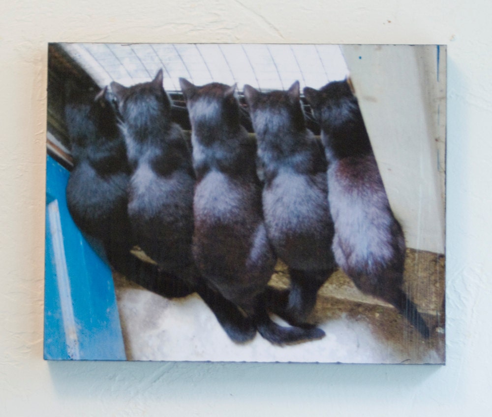 Five at the Door 8x10 Wood Mount Print