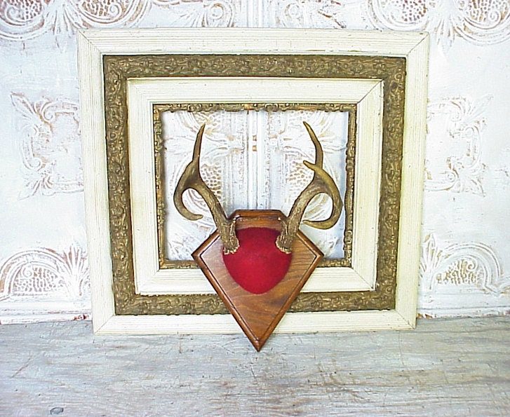 Antique Deer Antlers No. 1