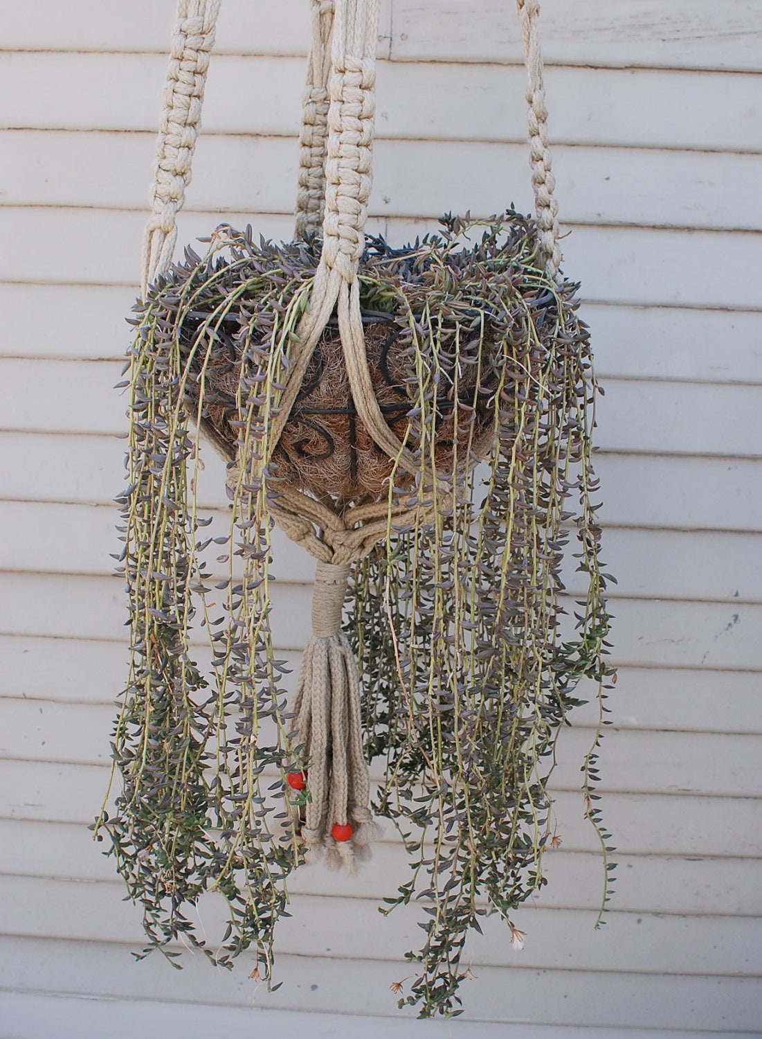 Luna 70s Macrame Plant Hanger