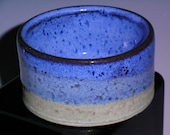 Wheel Thrown Dog or Whatever Bowl in Speckled Blue and Light Green