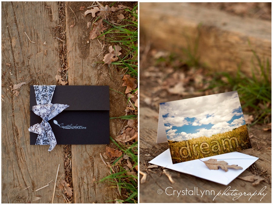 Dream Cards - Set of 4 4x5.5 Blank Greeting Cards