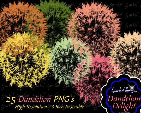 Photoshop Brush Dandelion Clip Art 25 Colors Floral Wedding Clipart Digital Scrapbooking Flourishes, Elements Il_570xn
